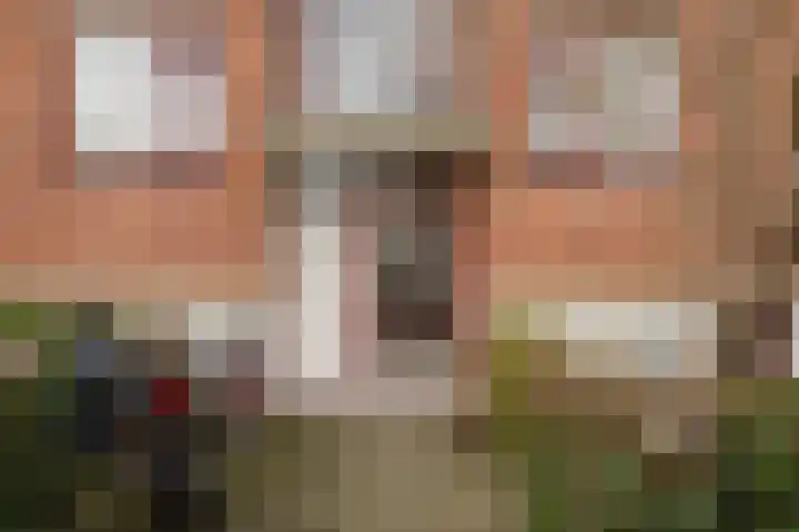 Aagje Dekenstraat 4 C Spijkenisse thumbnail 8