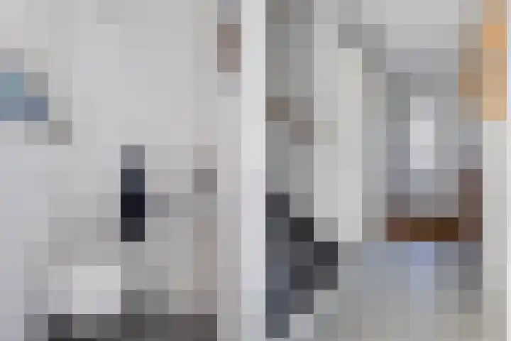Aagje Dekenstraat 41 Dordrecht thumbnail 11