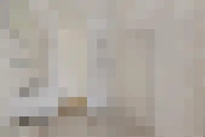 Aagje Dekenstraat 50 Vlissingen thumbnail 20