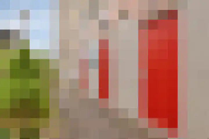 Aagje Dekenstraat 50 Vlissingen thumbnail 21