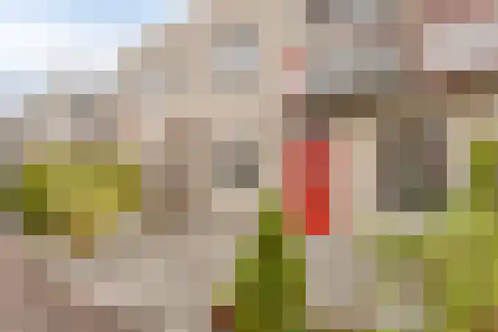 Aagje Dekenstraat 50 Vlissingen thumbnail 23