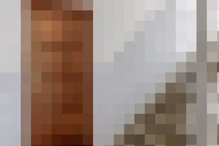 Aagje Dekenstraat 6 B Spijkenisse thumbnail 12