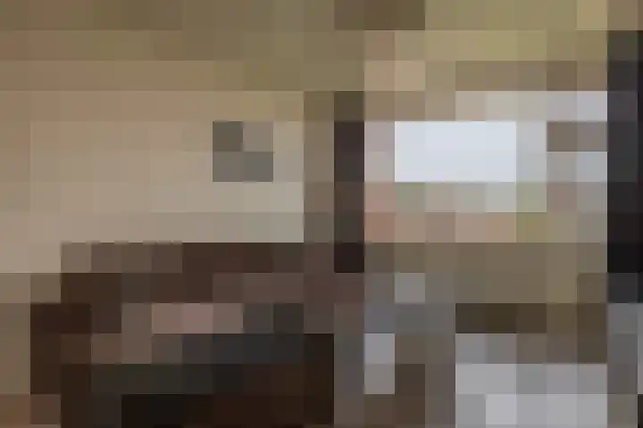Aagje Dekenstraat 6 B Spijkenisse thumbnail 15