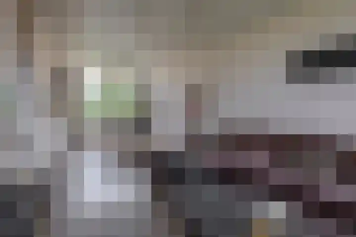 Aagje Dekenstraat 6 B Spijkenisse thumbnail 17