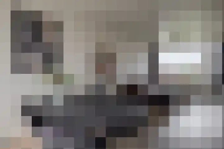 Aagje Dekenstraat 6 B Spijkenisse thumbnail 20