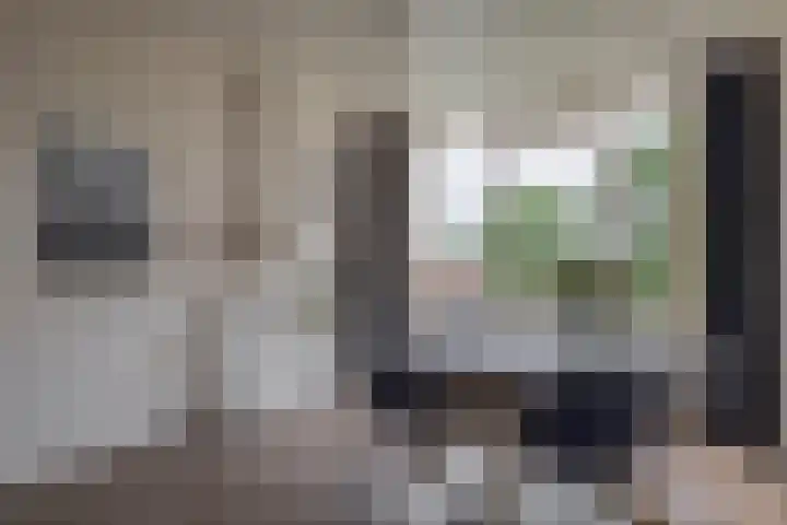 Aagje Dekenstraat 6 B Spijkenisse thumbnail 21