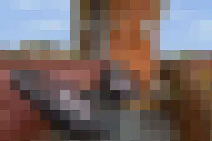 Aagje Dekenstraat 6 B Spijkenisse thumbnail 24