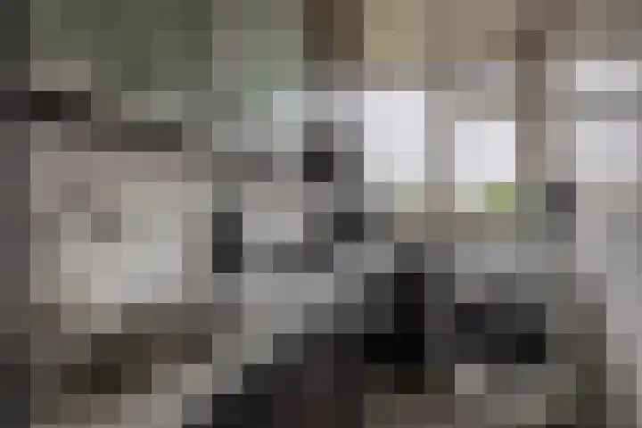 Aagje Dekenstraat 6 B Spijkenisse thumbnail 26