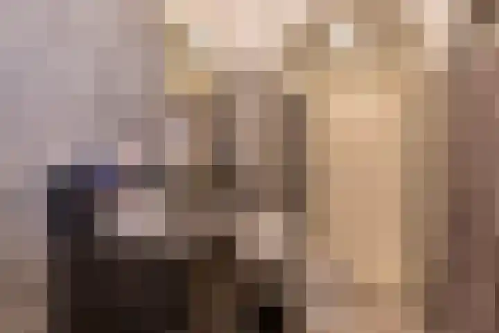 Aagje Dekenstraat 6 B Spijkenisse thumbnail 33