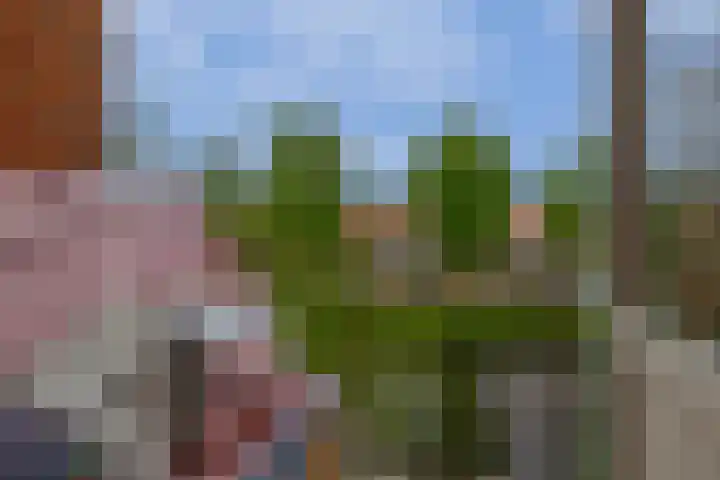 Aagje Dekenstraat 6 B Spijkenisse thumbnail 35