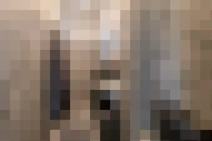 Aagje Dekenstraat 6 B Spijkenisse thumbnail 4