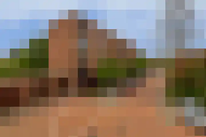 Aagje Dekenstraat 6 B Spijkenisse thumbnail 6