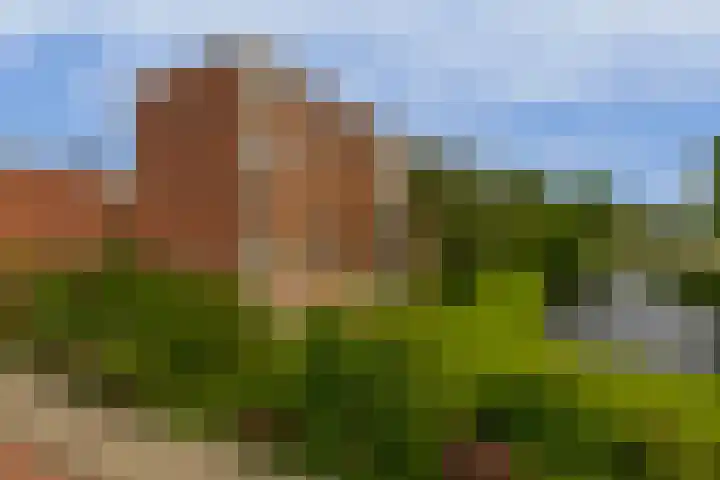 Aagje Dekenstraat 6 B Spijkenisse thumbnail 7