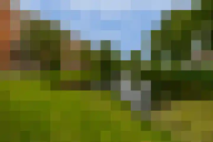 Aagje Dekenstraat 6 B Spijkenisse thumbnail 8