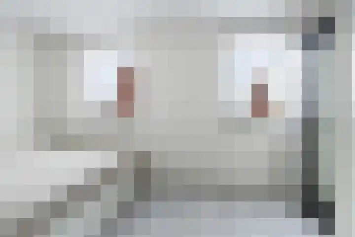 Aagje Dekenstraat 7 Dordrecht thumbnail 21