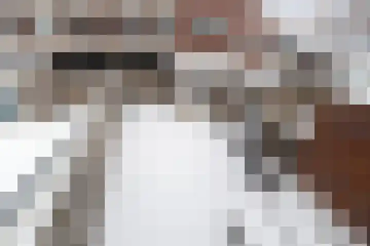 Aagje Dekenstraat 7 Dordrecht thumbnail 34