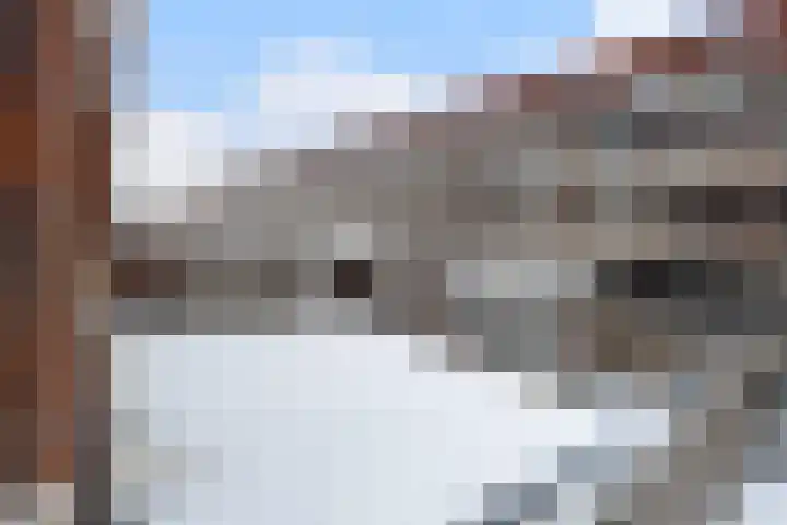 Aagje Dekenstraat 7 Dordrecht thumbnail 35