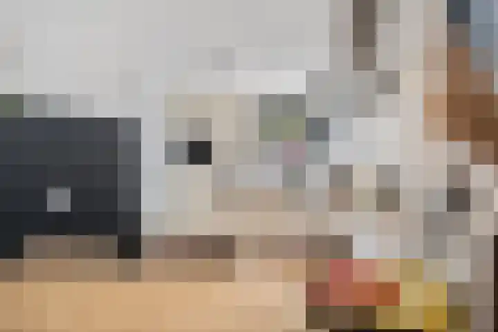 Aagje Dekenstraat 7 Schijndel thumbnail 12