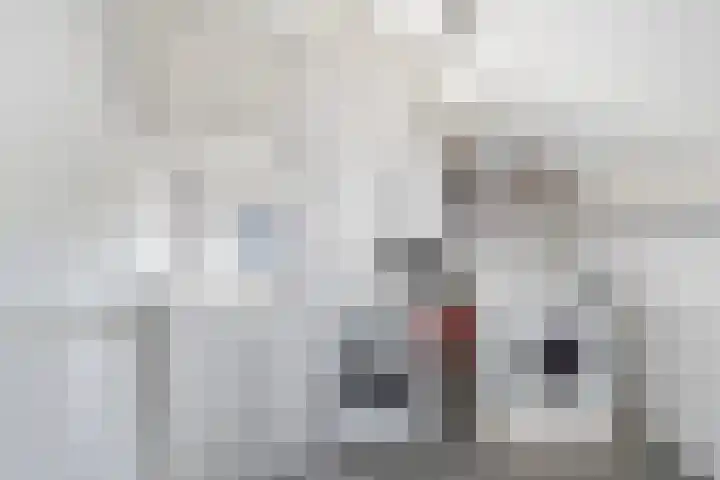 Aagje Dekenstraat 7 Schijndel thumbnail 27
