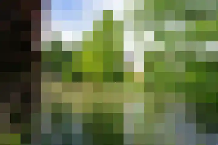 Aagje Dekenstraat 7 Schijndel thumbnail 37