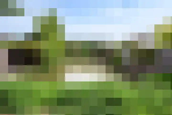 Aagje Dekenstraat 7 Schijndel thumbnail 38
