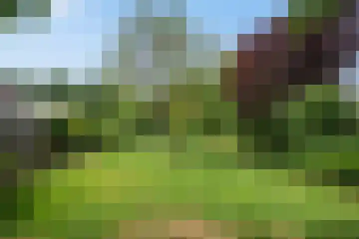 Aagje Dekenstraat 7 Schijndel thumbnail 39