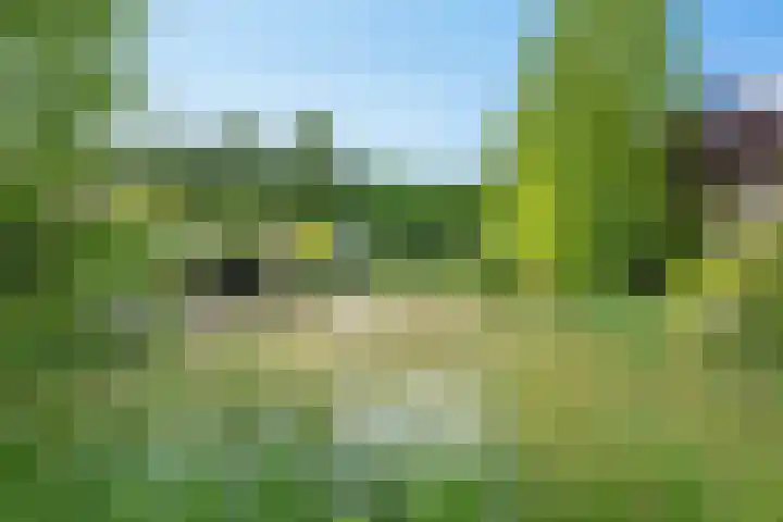 Aagje Dekenstraat 7 Schijndel thumbnail 40