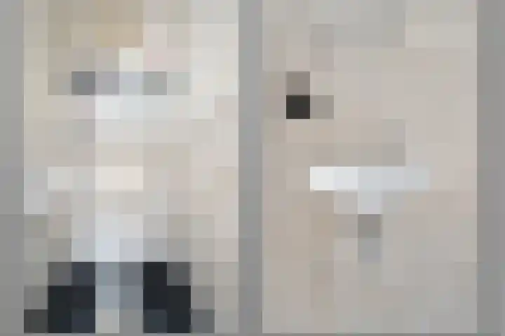 Aagje Dekenstraat 7 Schijndel thumbnail 6