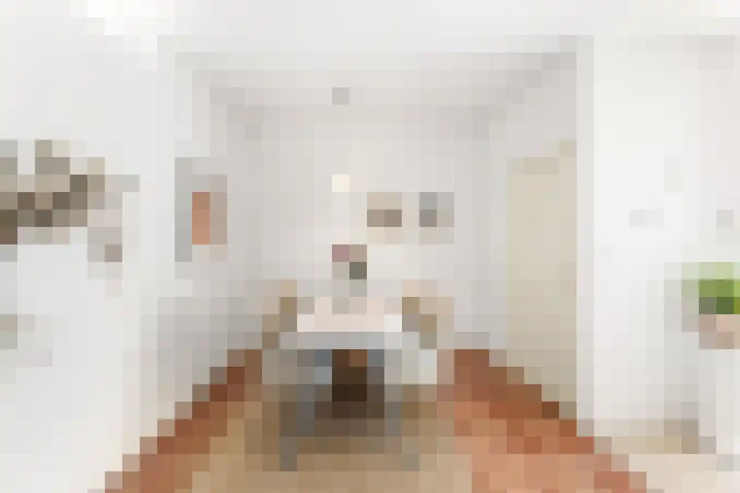 Aagje Dekenstraat 77 Vlissingen thumbnail 10