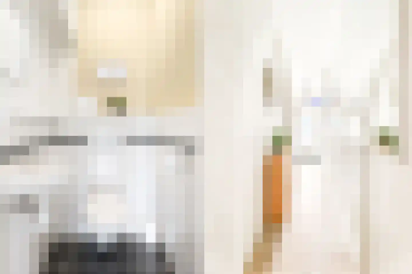Aagje Dekenstraat 77 Vlissingen thumbnail 10