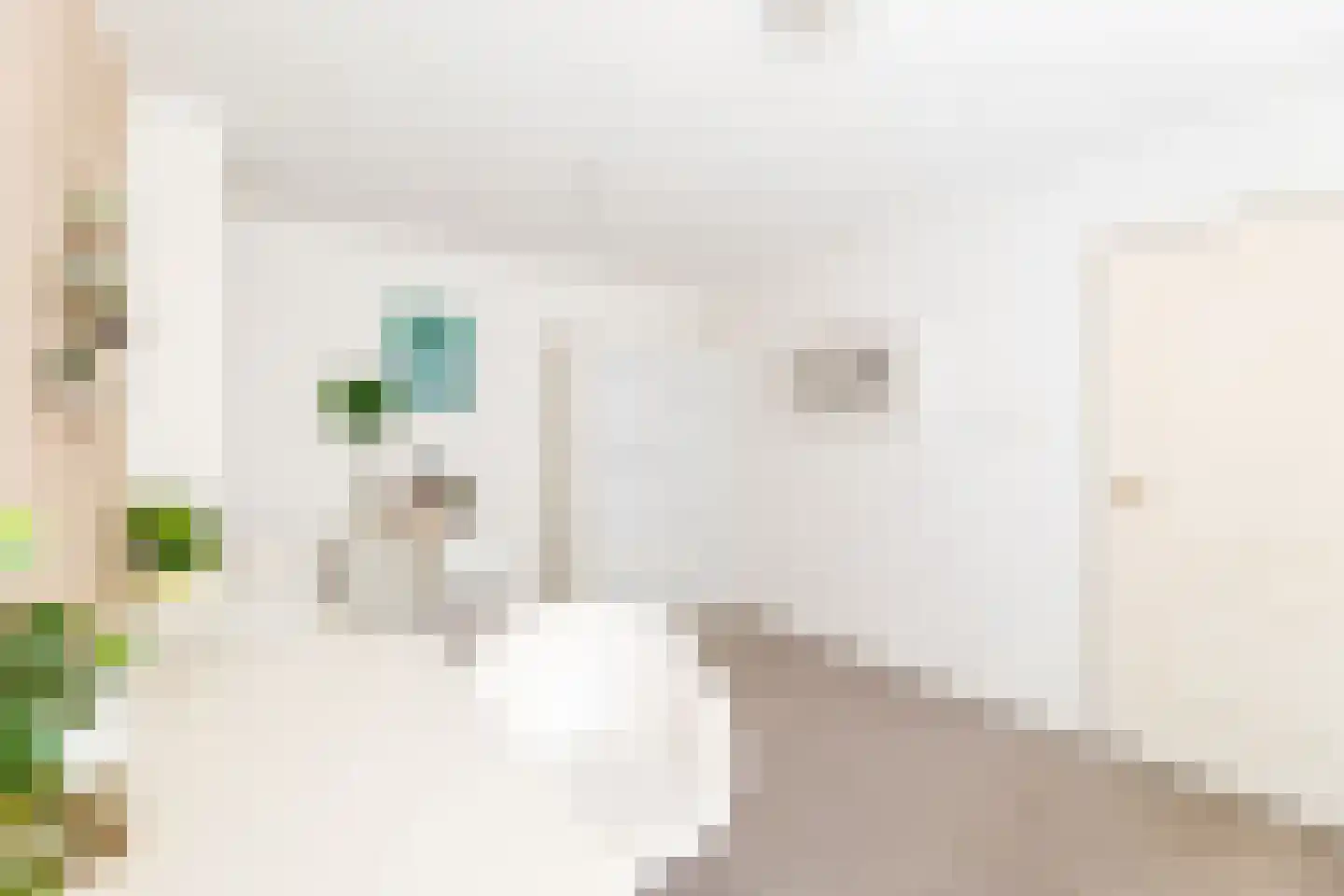 Aagje Dekenstraat 77 Vlissingen thumbnail 17