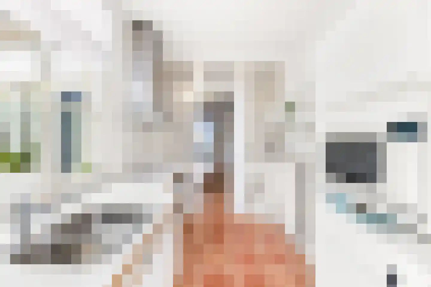 Aagje Dekenstraat 77 Vlissingen thumbnail 19