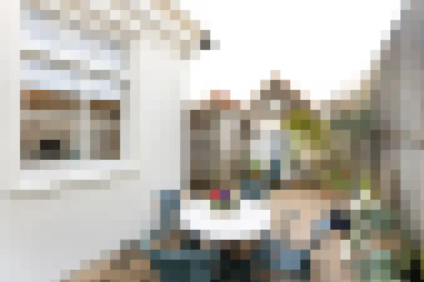 Aagje Dekenstraat 77 Vlissingen thumbnail 24