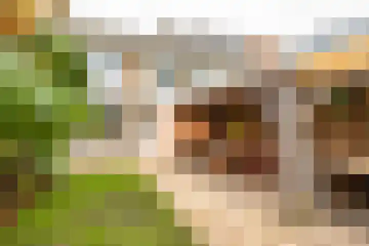 Aagje Dekenstraat 8 Groningen thumbnail 33