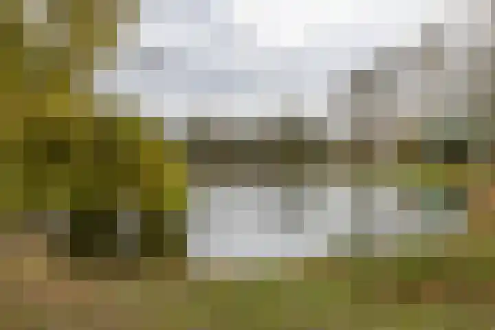 Aagje Dekenstraat 8 Groningen thumbnail 36
