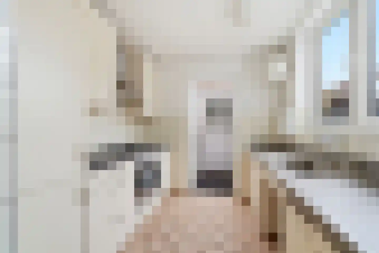 Aagje Dekenstraat 87 Vlissingen thumbnail 13