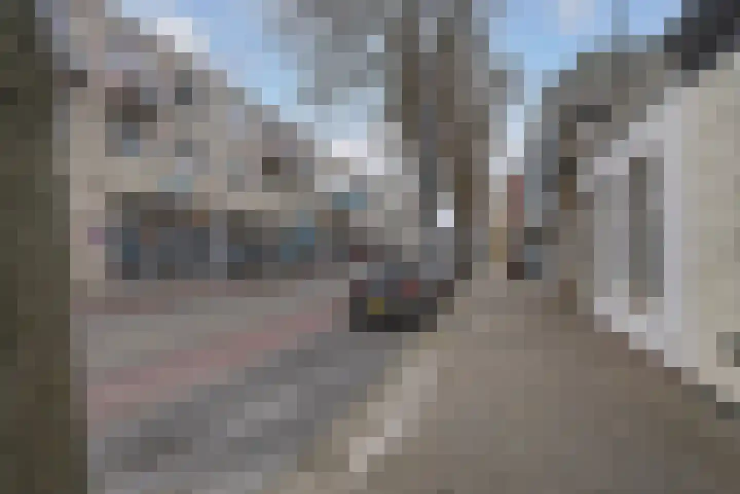 Aagje Dekenstraat 87 Vlissingen thumbnail 28