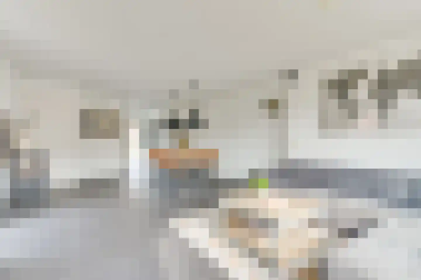 Aagje Dekentuin 10 Heerhugowaard thumbnail 11