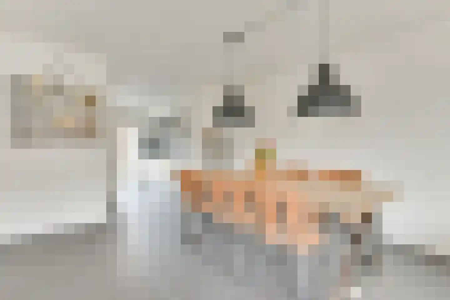 Aagje Dekentuin 10 Heerhugowaard thumbnail 12