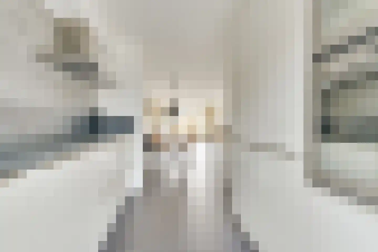 Aagje Dekentuin 10 Heerhugowaard thumbnail 16