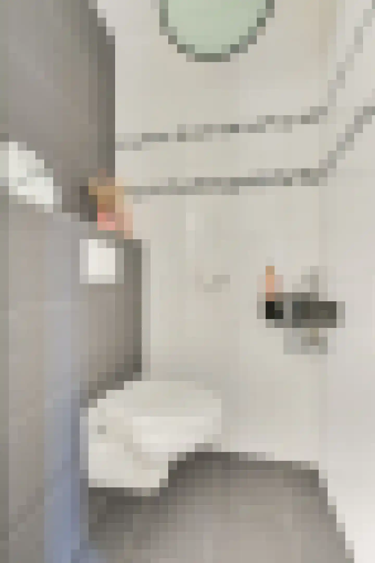 Aagje Dekentuin 10 Heerhugowaard thumbnail 17