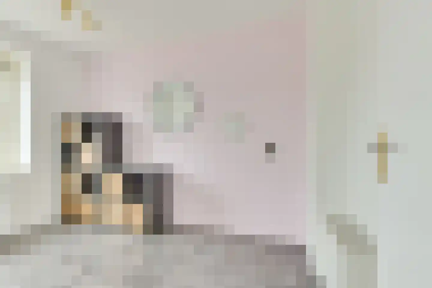 Aagje Dekentuin 10 Heerhugowaard thumbnail 28