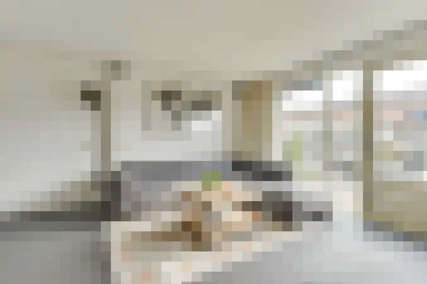 Aagje Dekentuin 10 Heerhugowaard foto 3