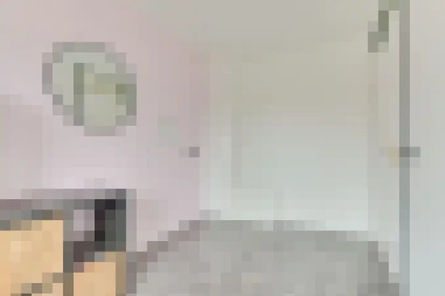 Aagje Dekentuin 10 Heerhugowaard thumbnail 30