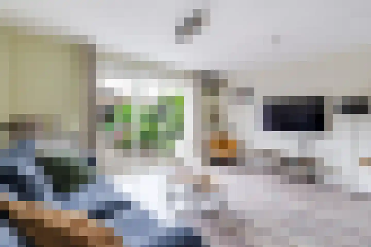 Aagje Dekentuin 12 Heerhugowaard thumbnail 10