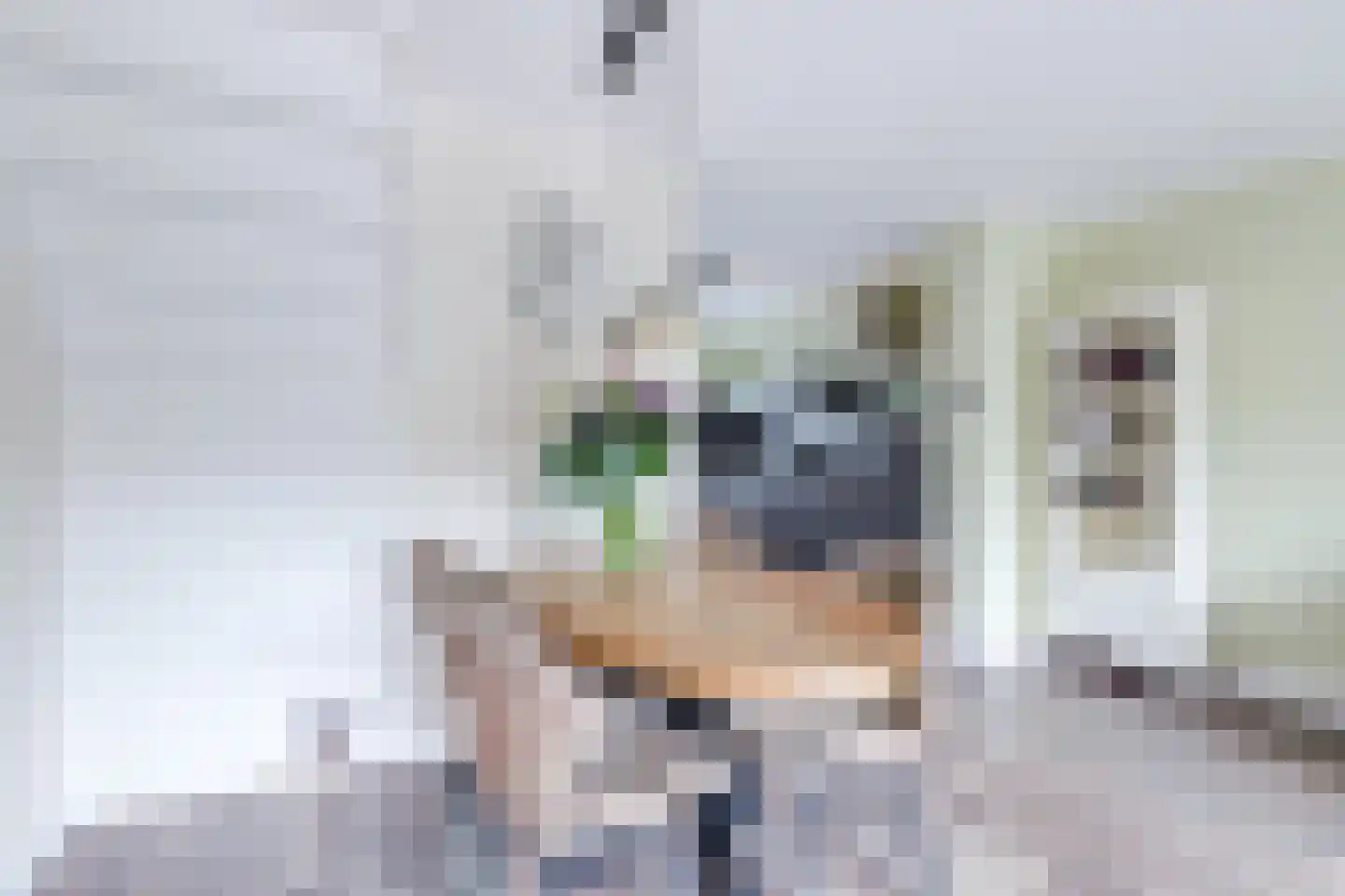 Aagje Dekentuin 12 Heerhugowaard thumbnail 11