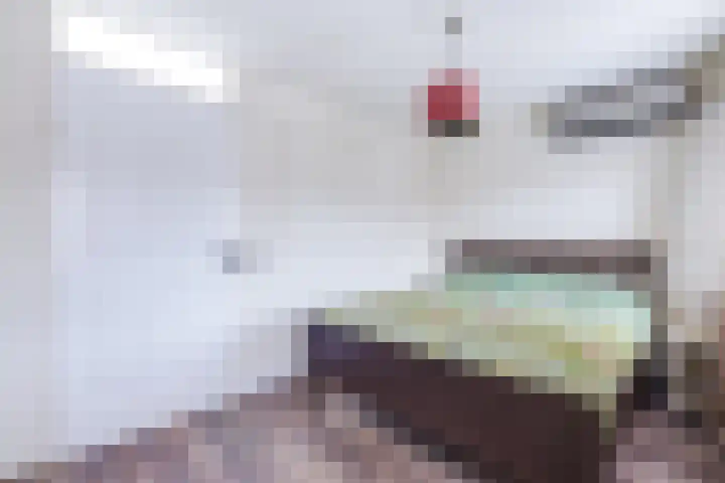 Aagje Dekentuin 12 Heerhugowaard thumbnail 14
