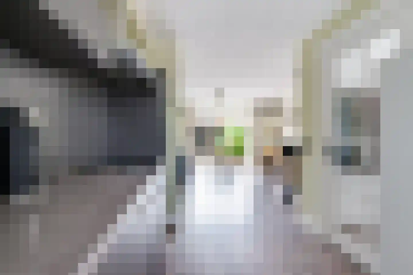 Aagje Dekentuin 12 Heerhugowaard thumbnail 7