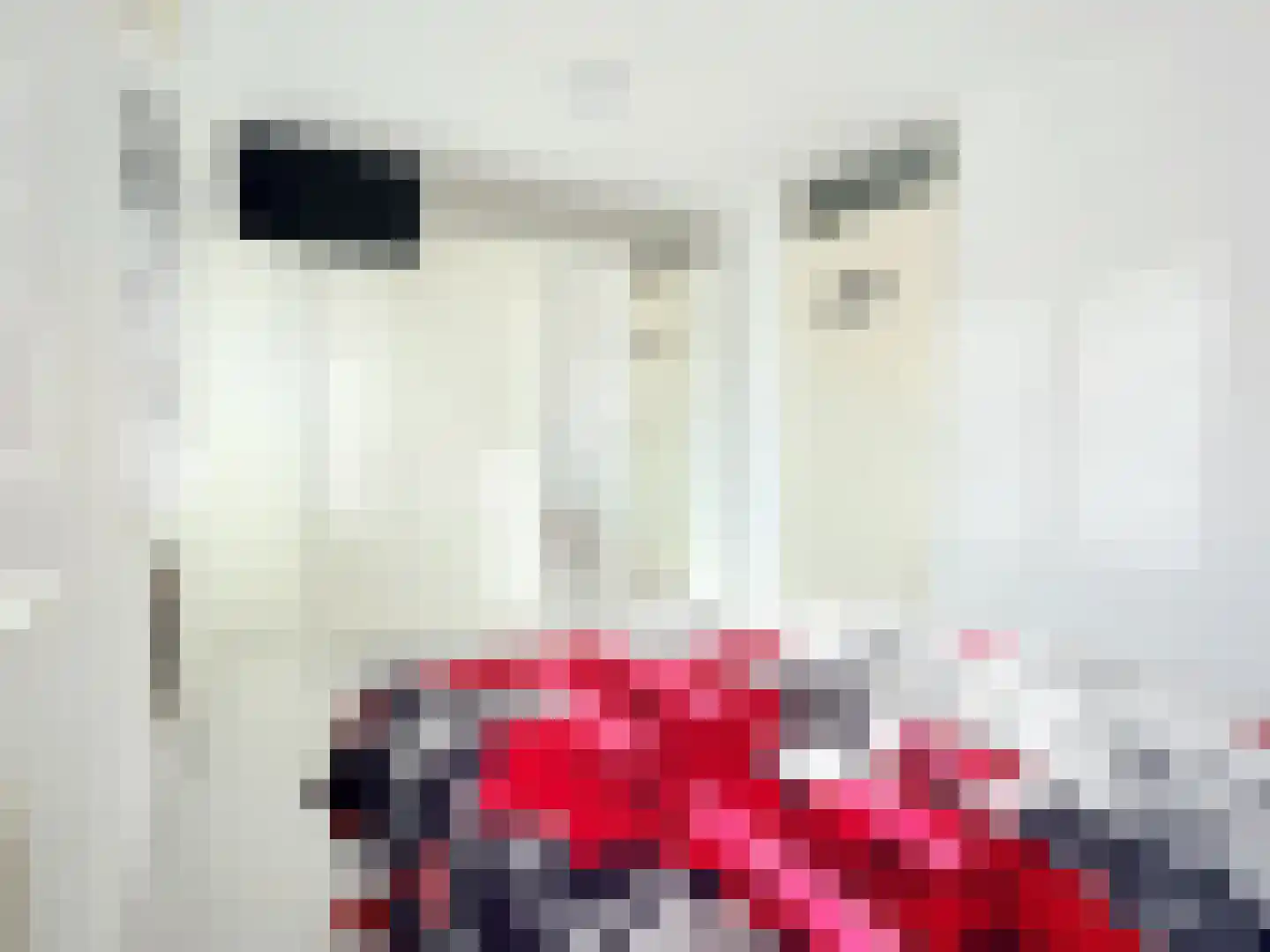 Aagje Dekentuin 25 Heerhugowaard thumbnail 10