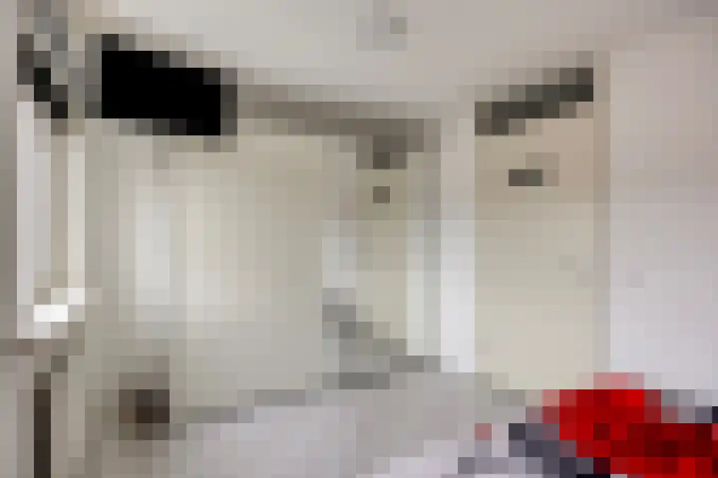 Aagje Dekentuin 25 Heerhugowaard thumbnail 13